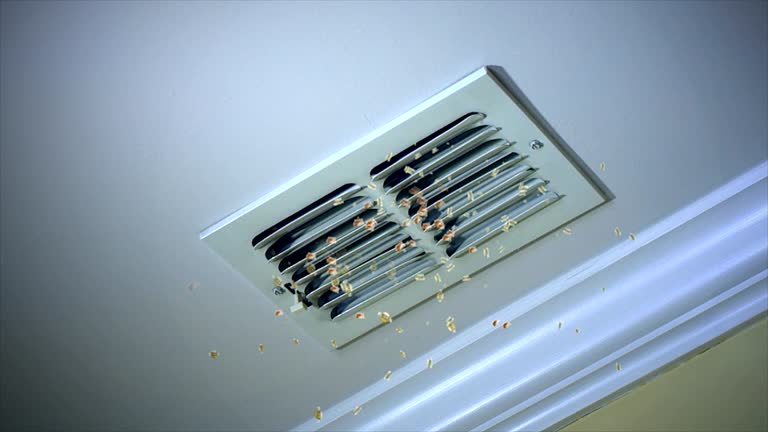 Best Commercial Air Duct Cleaning  in Lakeland, GA