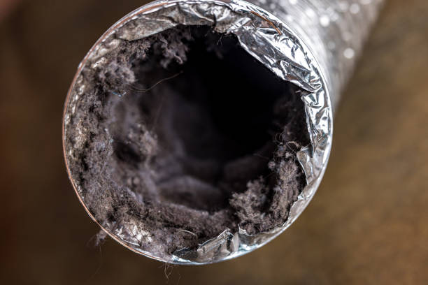 Best Local Air Duct Cleaning Services  in Lakeland, GA